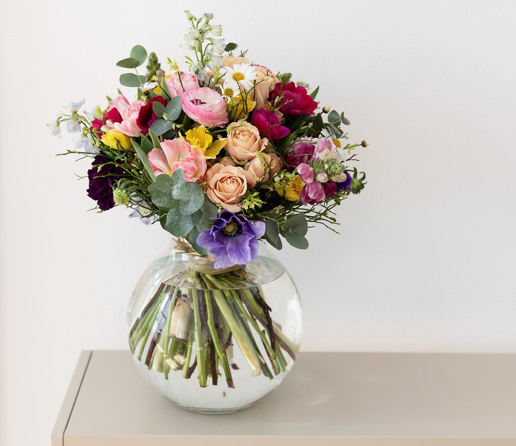© bloomd. | Studiovalo