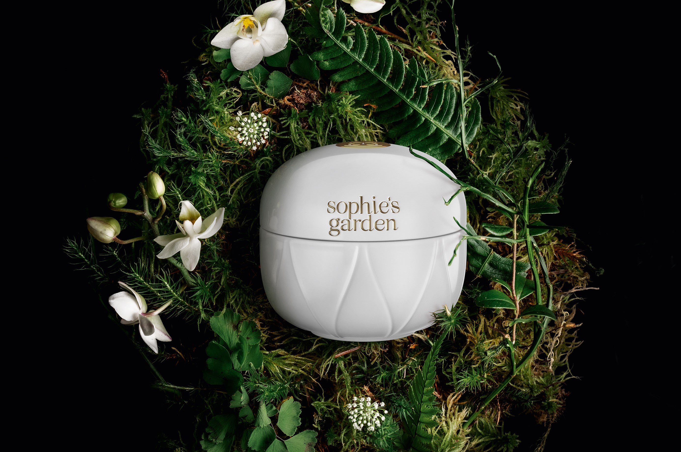 Mon Olive Longévité Crème Frappée I © Sophie´s Garden