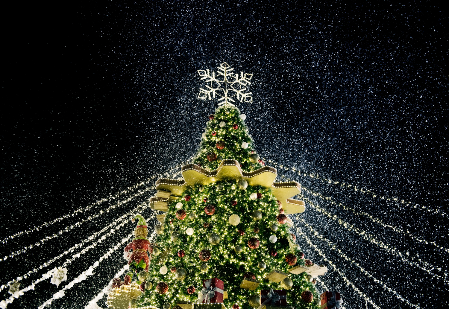 © magnifico.com/rawpixel.com